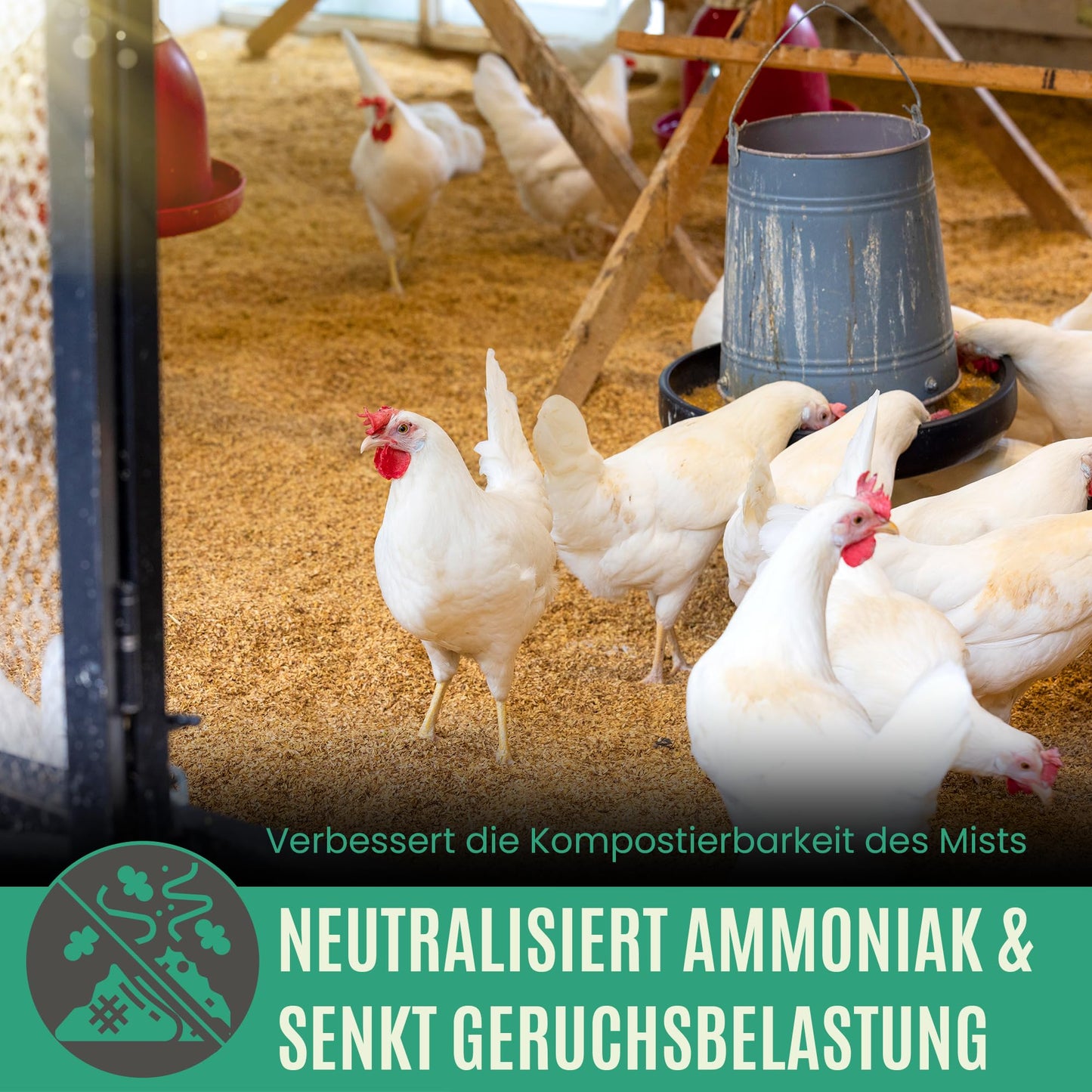 Premium Futterkohle | Futtermittelzusatz für Geflügel