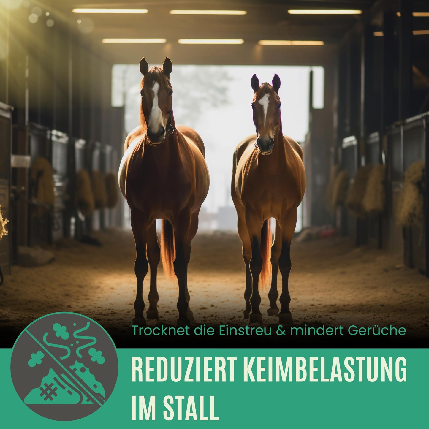 Premium Futterkohle | Futtermittelzusatz für Pferde