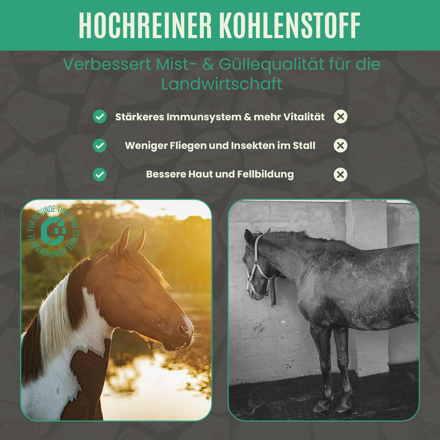 Premium Futterkohle | Futtermittelzusatz für Pferde