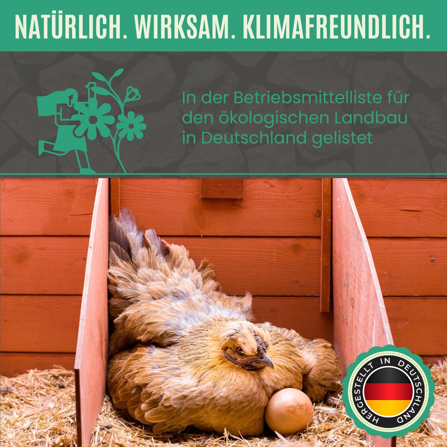 Premium Futterkohle | Futtermittelzusatz für Geflügel