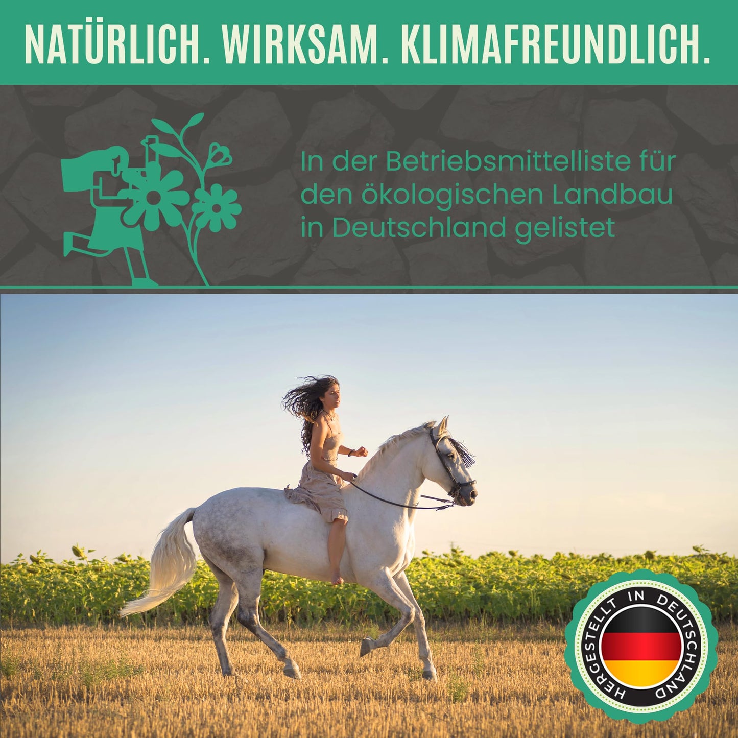 Premium Futterkohle | Futtermittelzusatz für Pferde