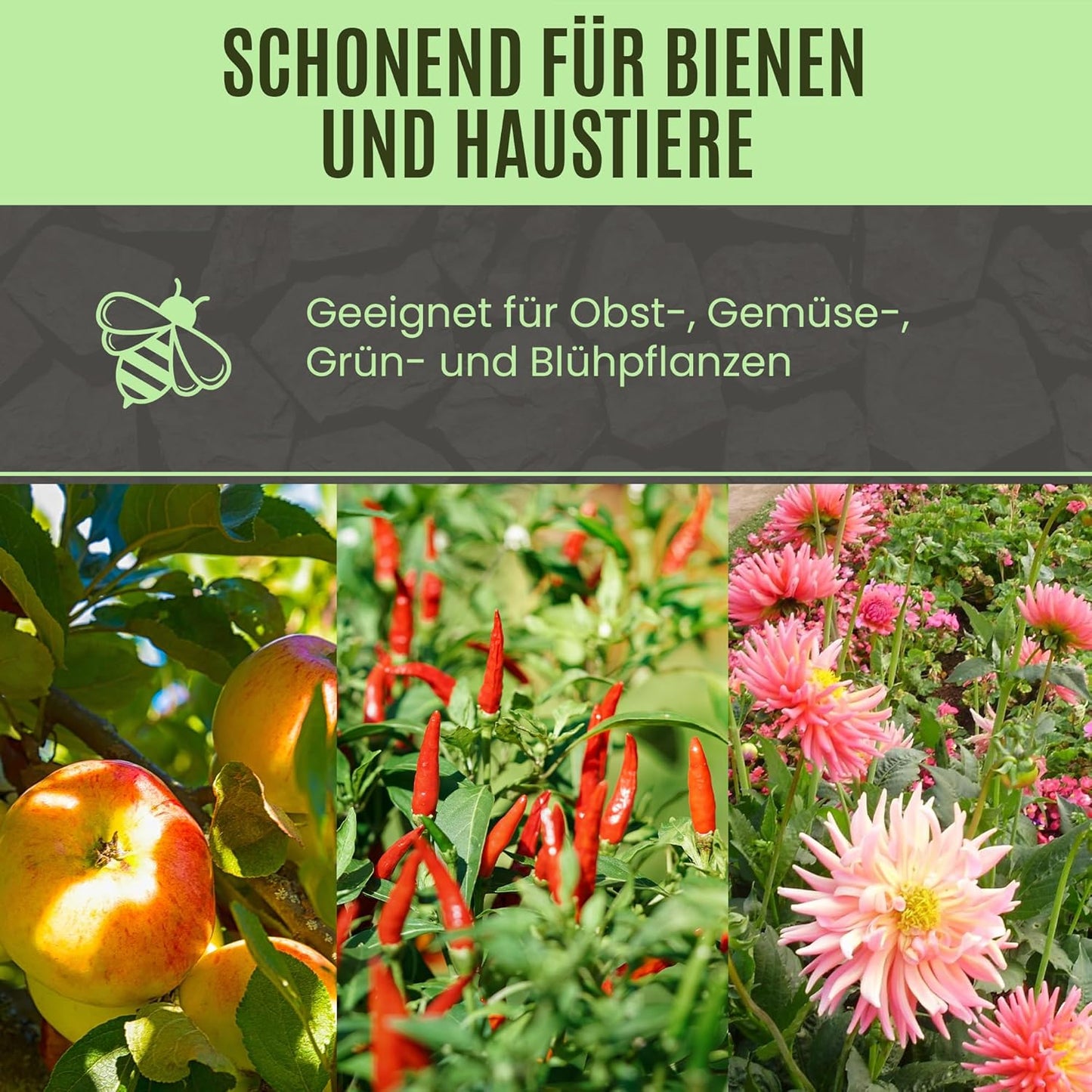 Brennnesseljauche – Für gesunde Pflanzen und natürliche Schädlingsabwehr