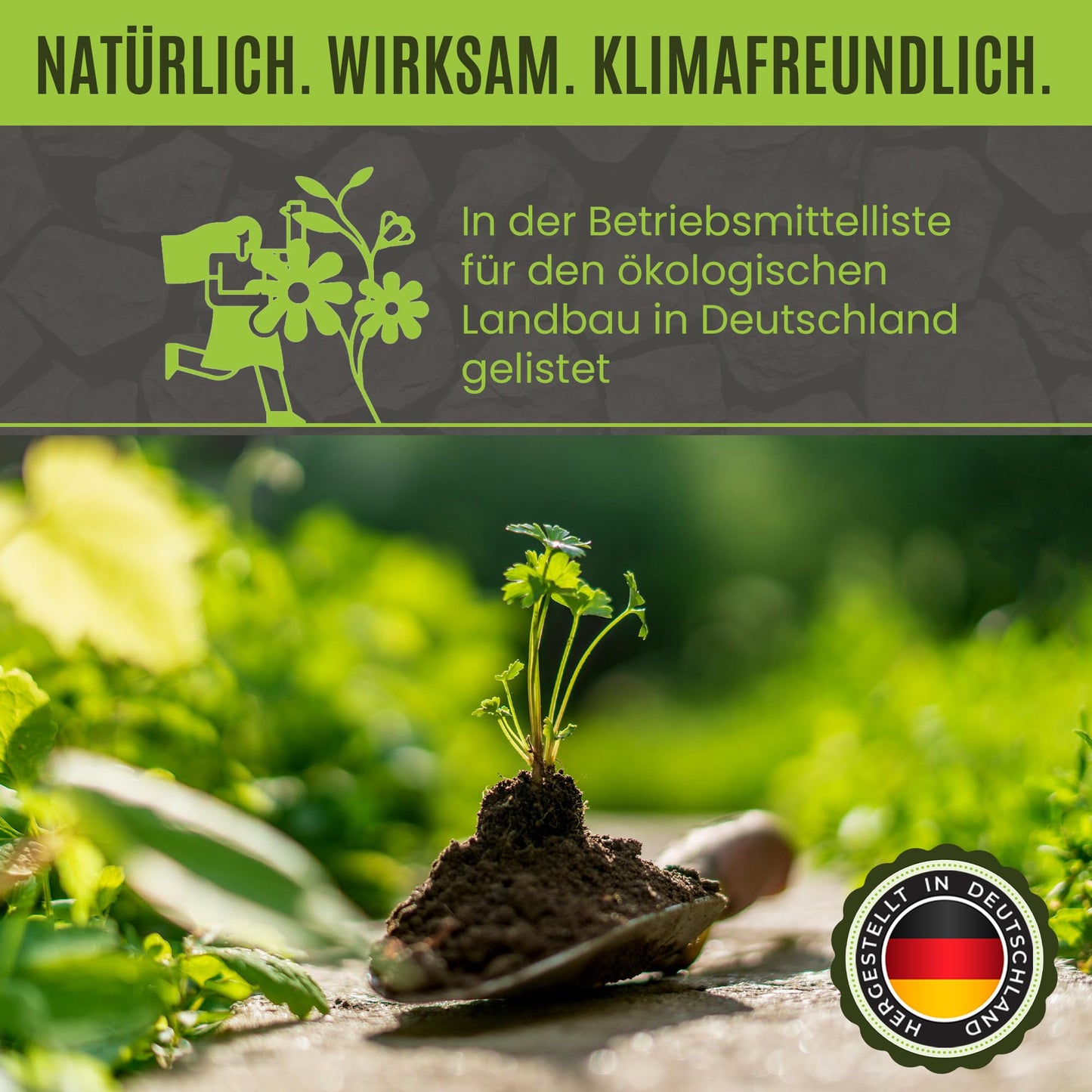 Premium Pflanzenkohle - Für Garten & Kompost