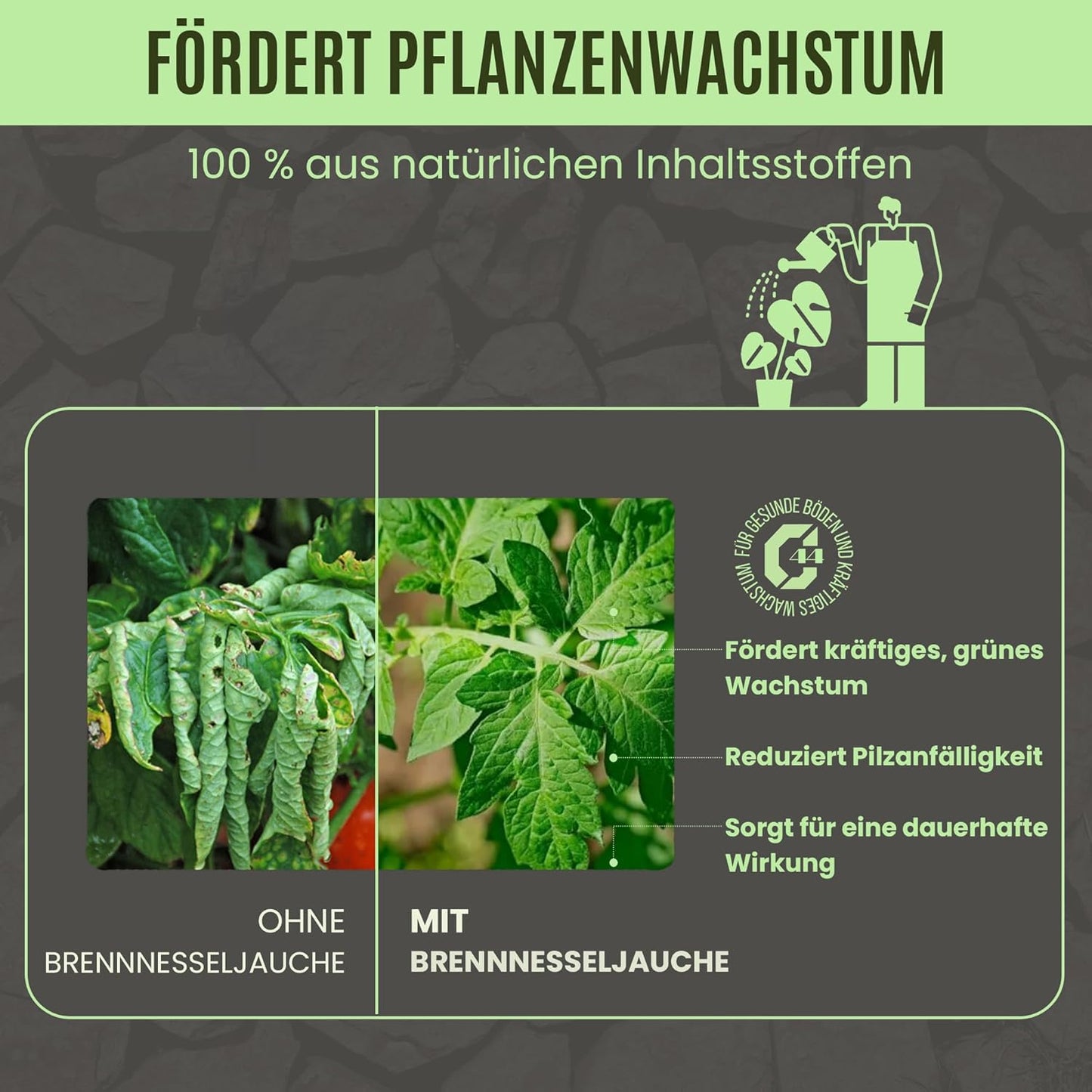 Brennnesseljauche – Für gesunde Pflanzen und natürliche Schädlingsabwehr