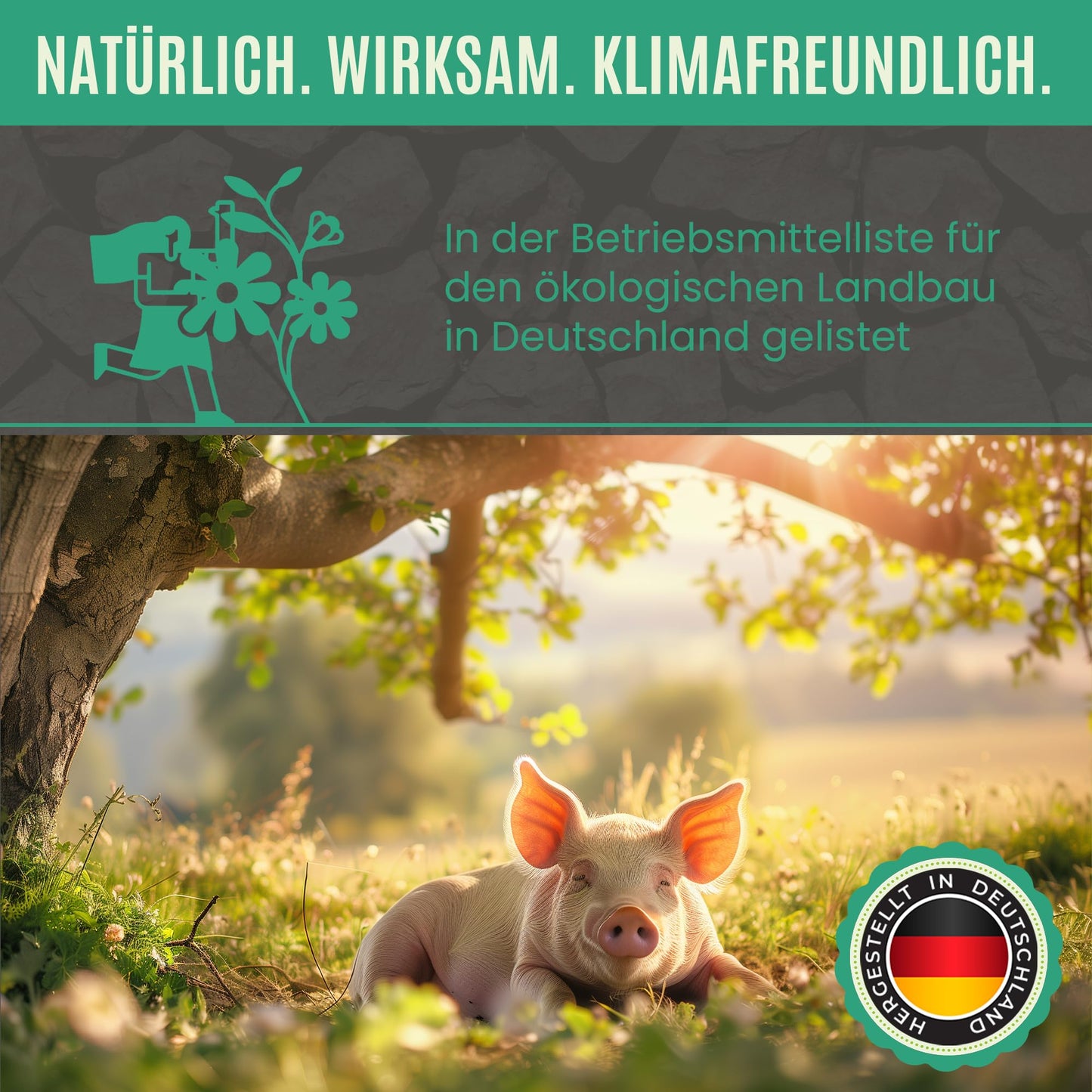 Premium Futterkohle | Futtermittelzusatz für Schweine