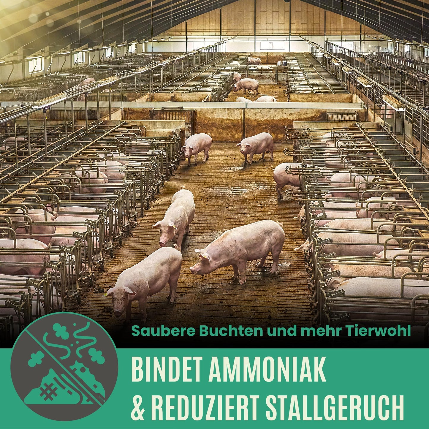 Premium Futterkohle | Futtermittelzusatz für Schweine