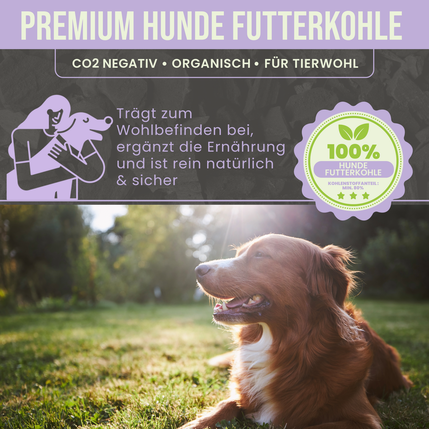 Premium Hunde Futterkohle