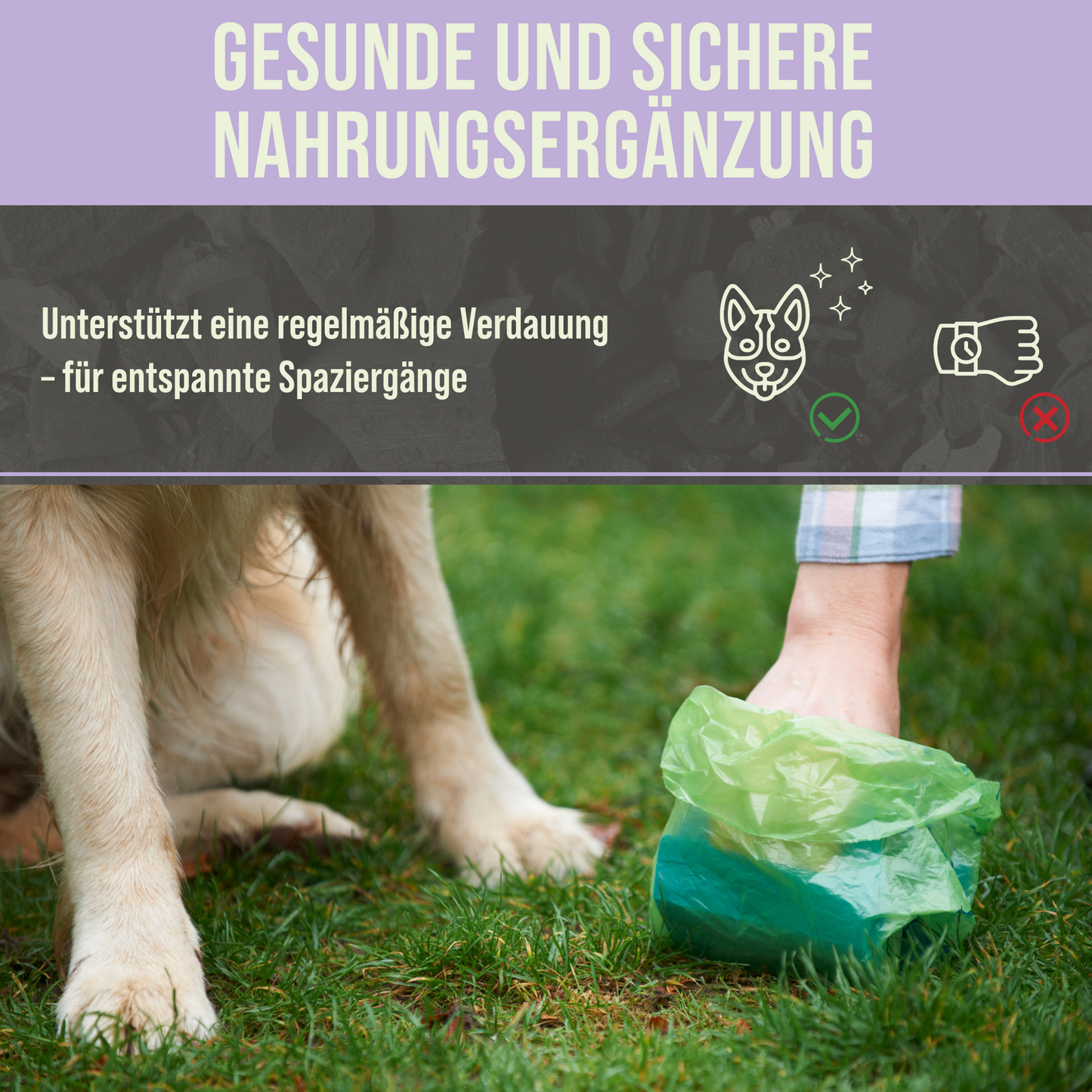Premium Hunde Futterkohle