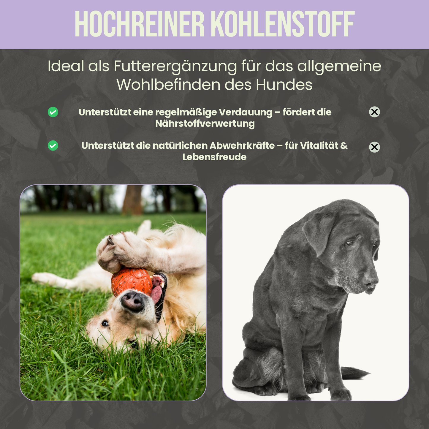 Premium Hunde Futterkohle