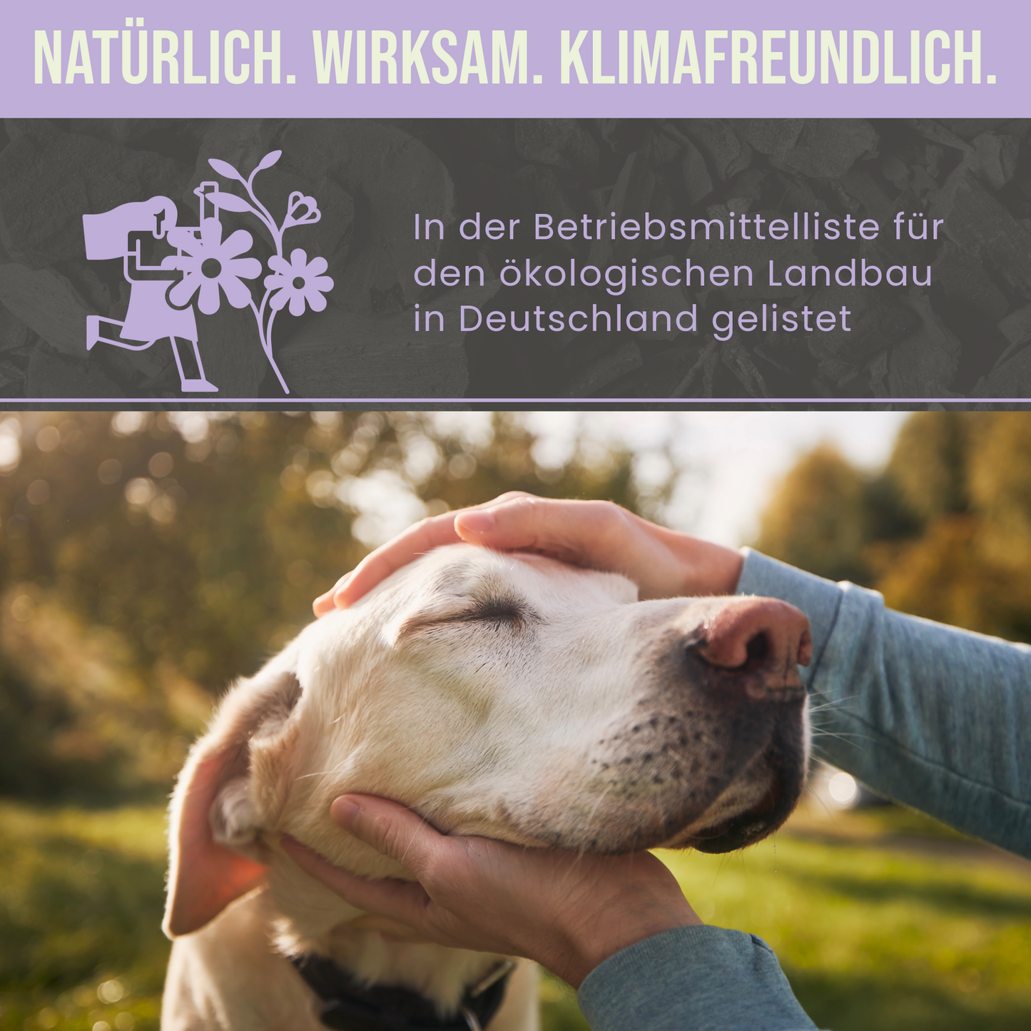 Premium Hunde Futterkohle