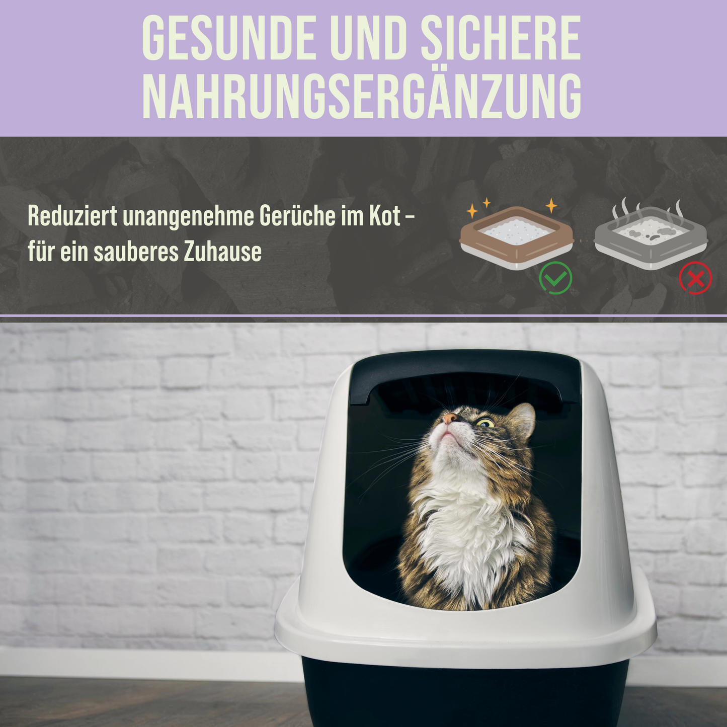 Premium Katzen Futterkohle