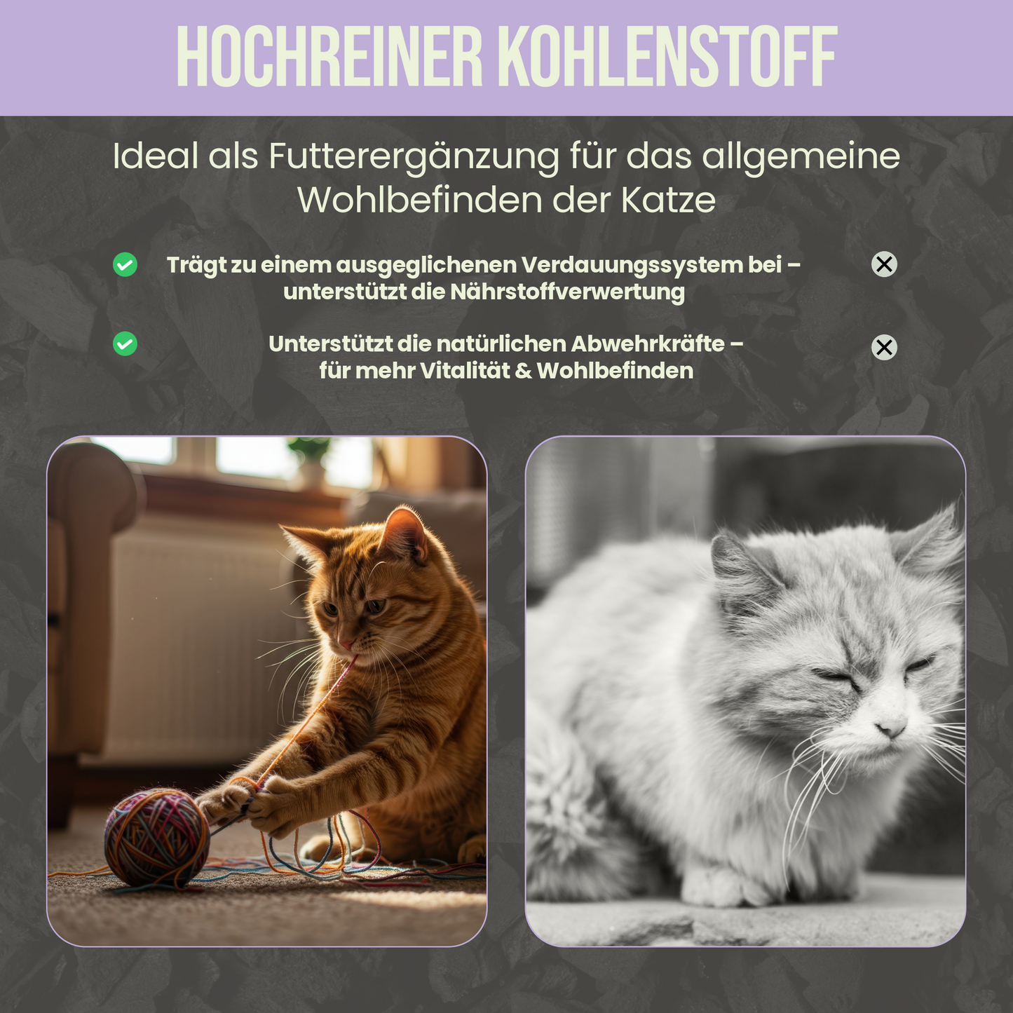 Premium Katzen Futterkohle