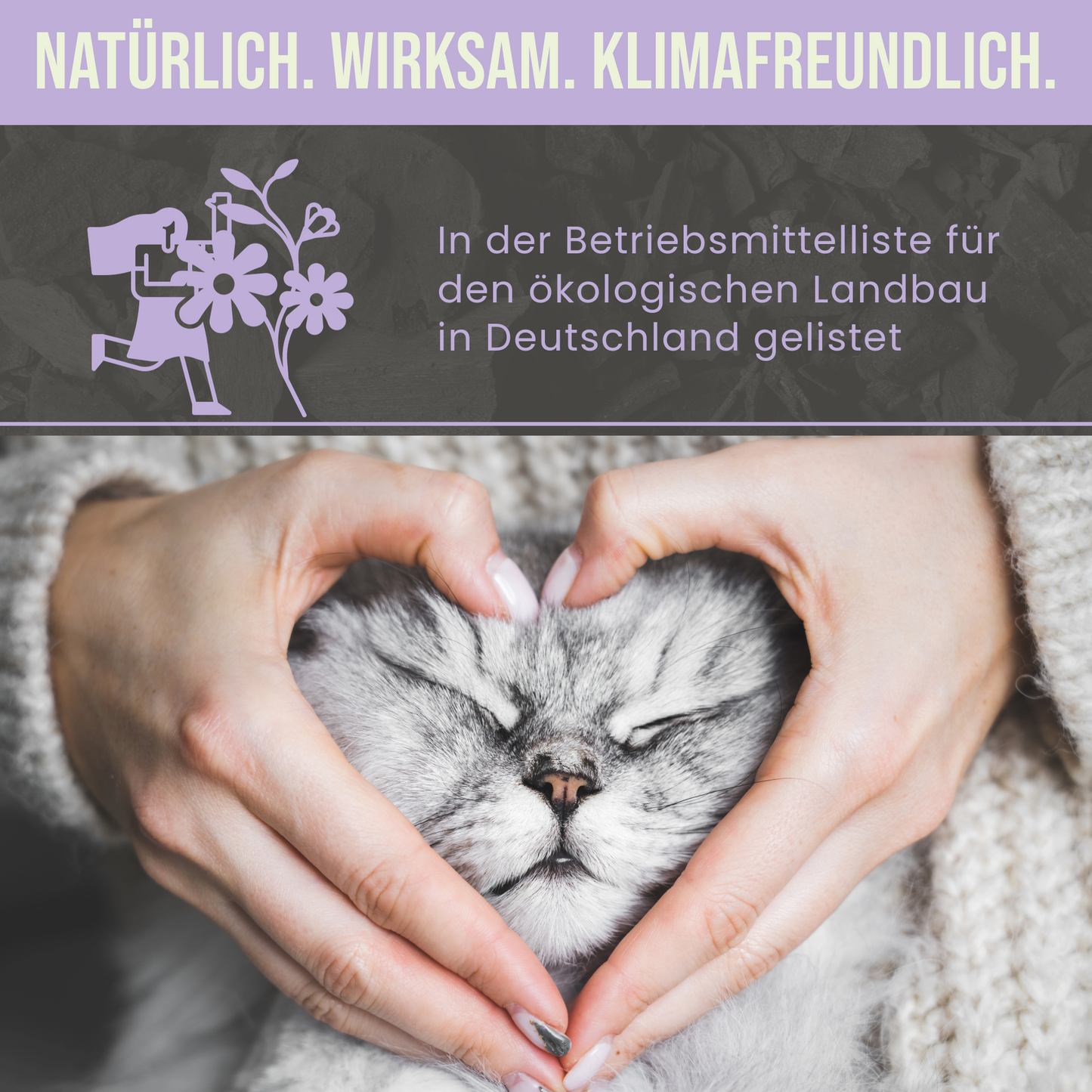 Premium Katzen Futterkohle