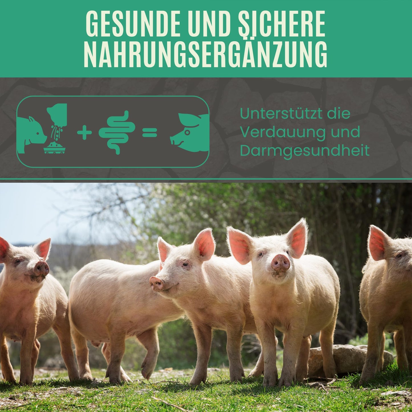 Premium Futterkohle | Futtermittelzusatz für Schweine