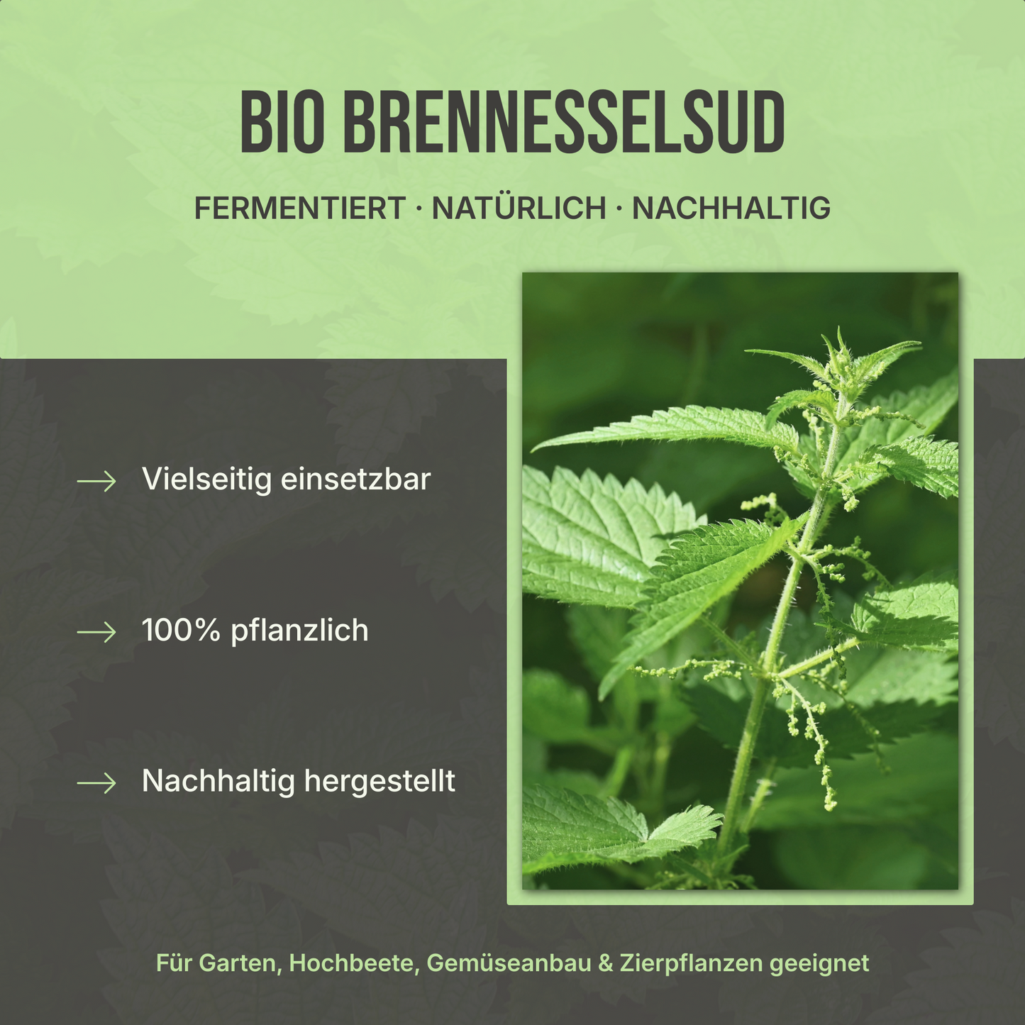 Brennnesseljauche – Für gesunde Pflanzen und natürliche Schädlingsabwehr