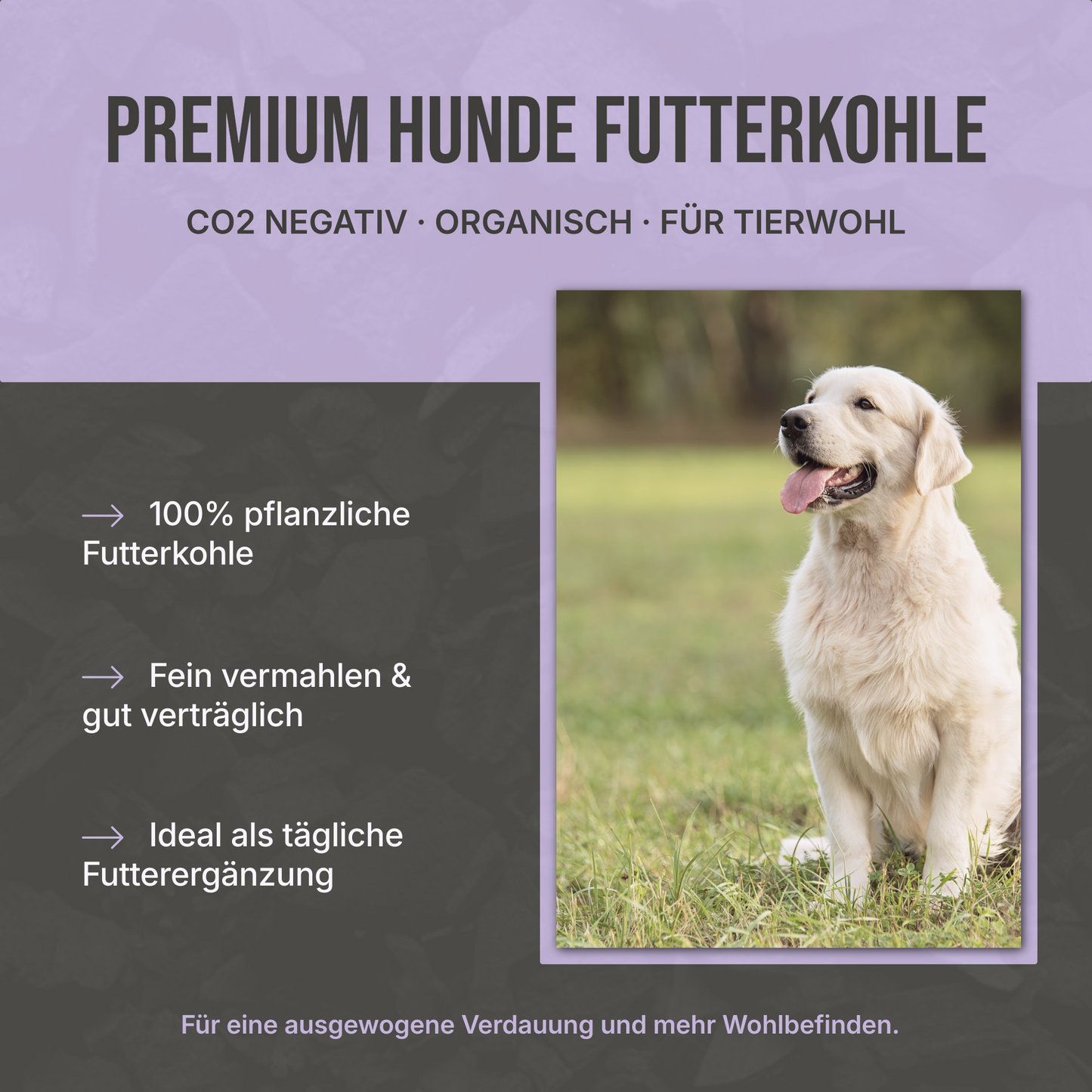Premium Futterkohle für Hunde
