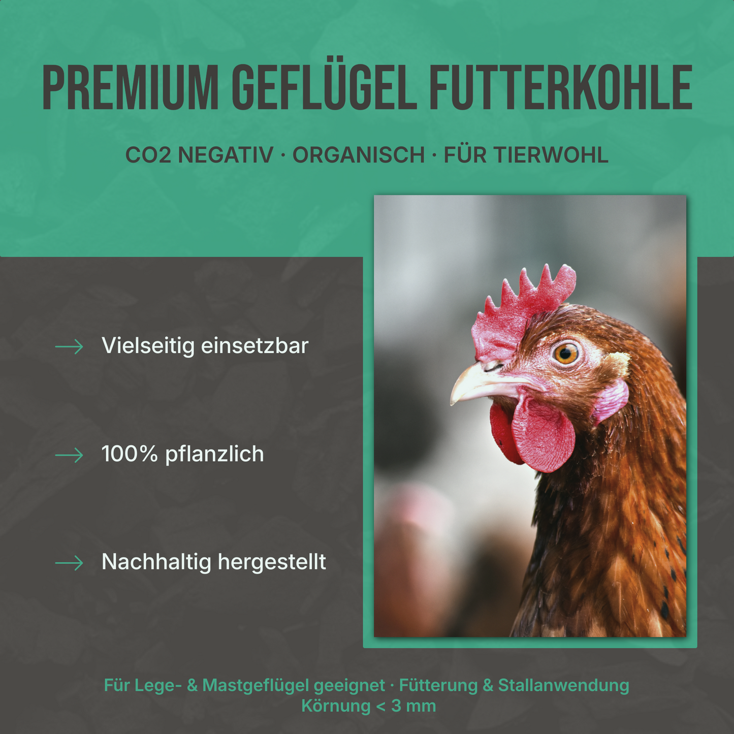 Premium Futterkohle für Geflügel