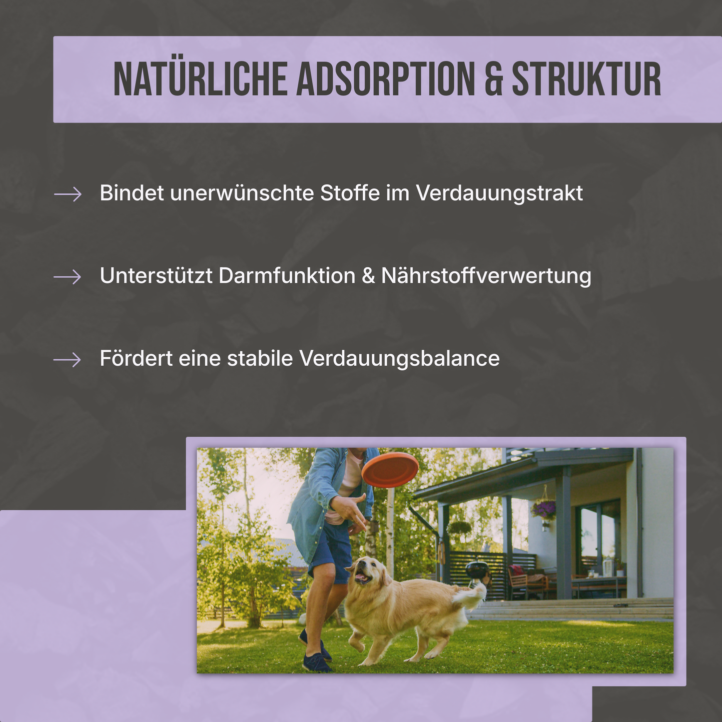 Premium Futterkohle für Hunde