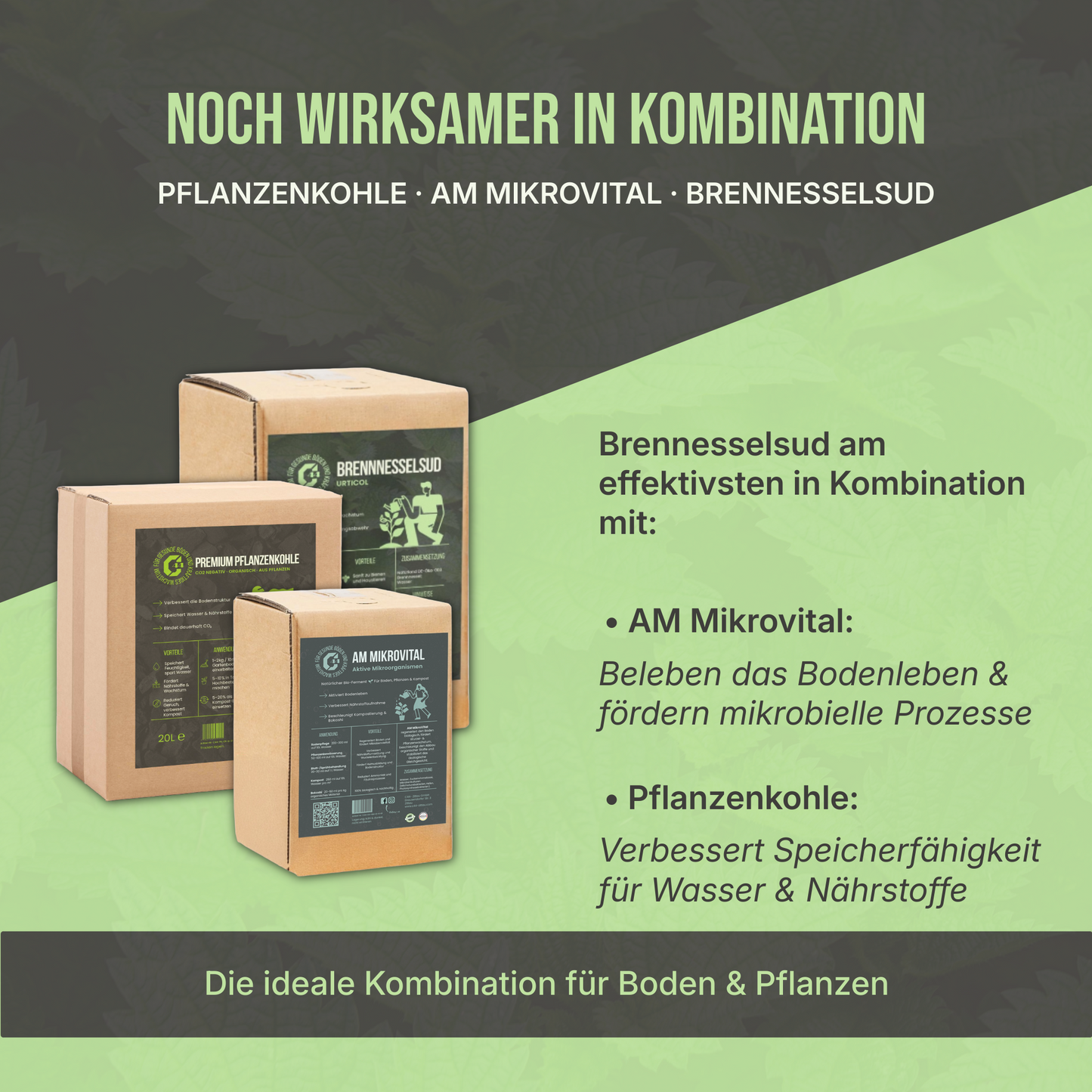 Brennnesseljauche – Für gesunde Pflanzen und natürliche Schädlingsabwehr