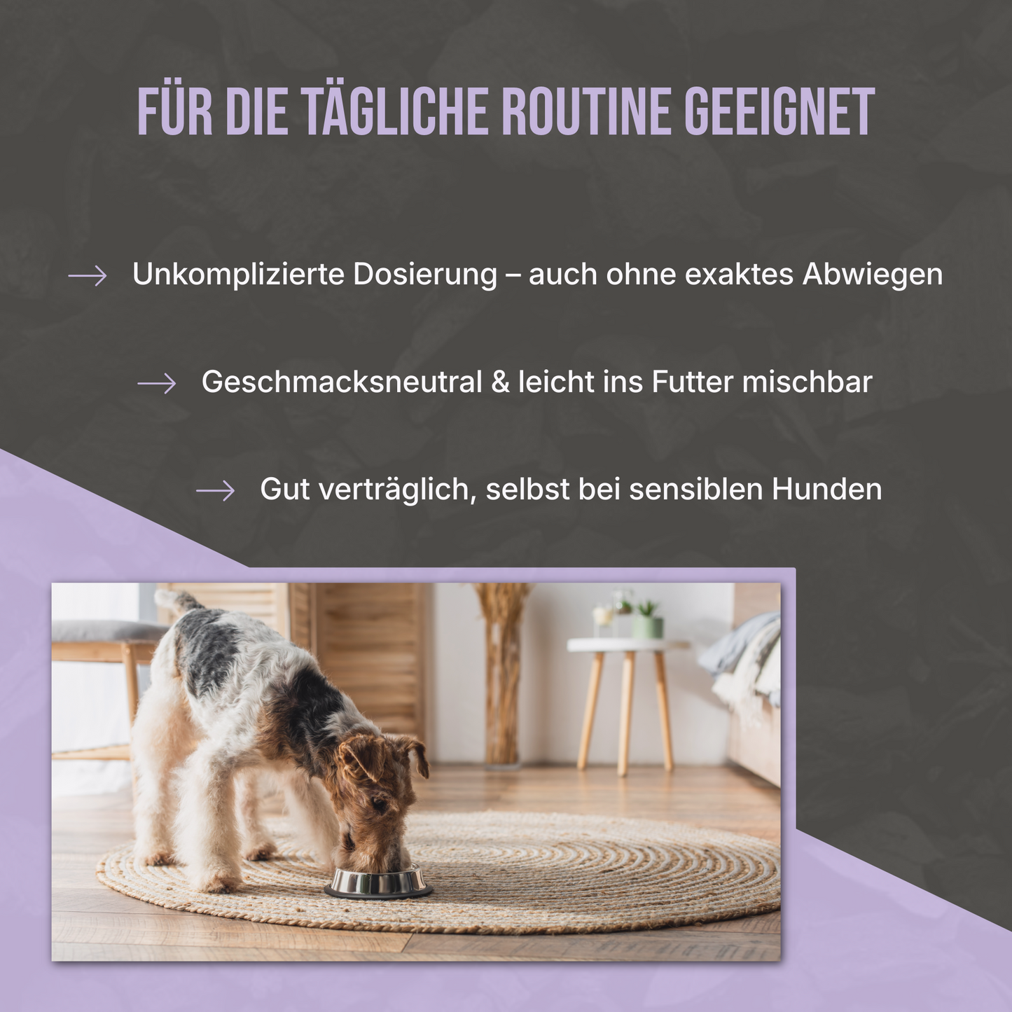 Premium Futterkohle für Hunde