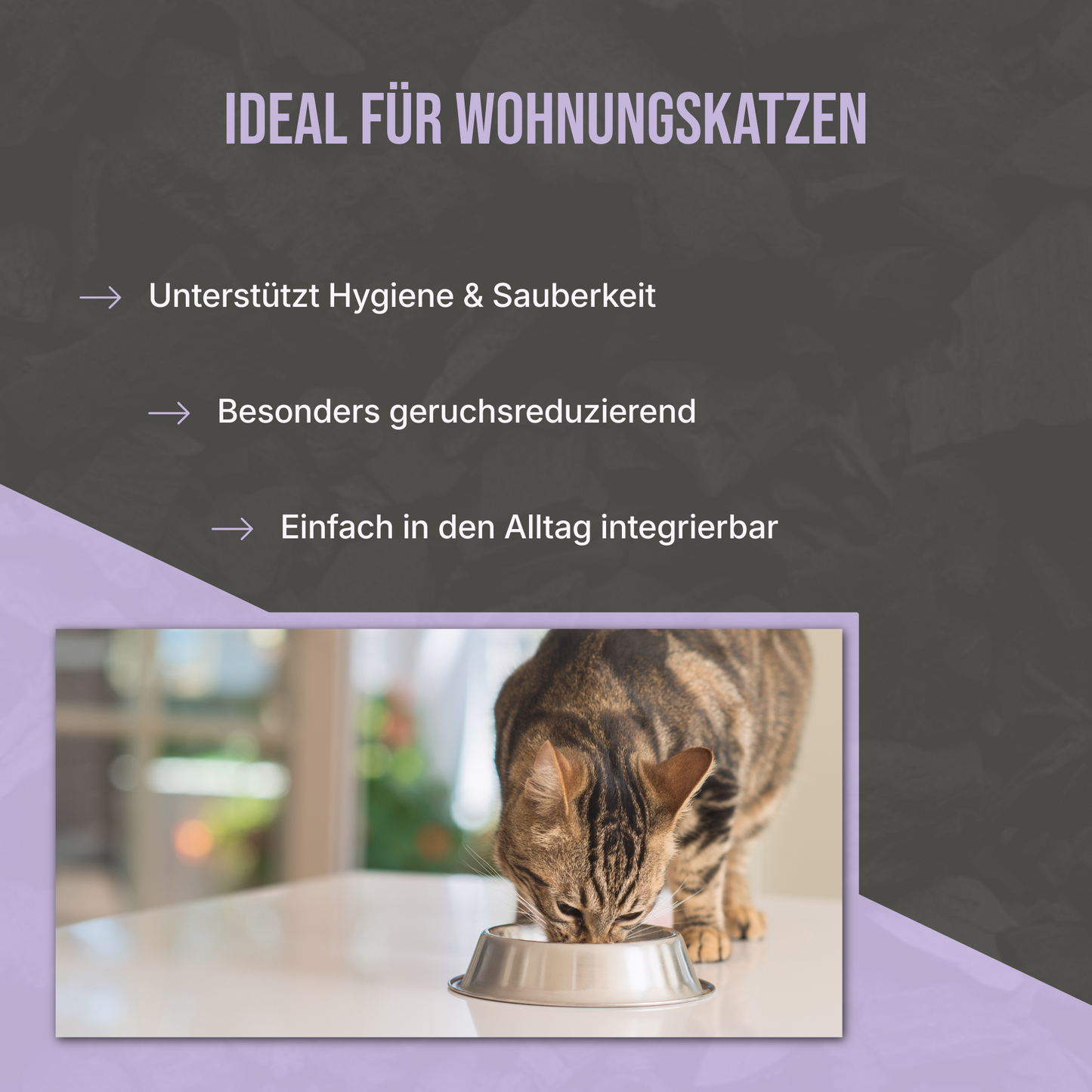 Premium Futterkohle für Katzen