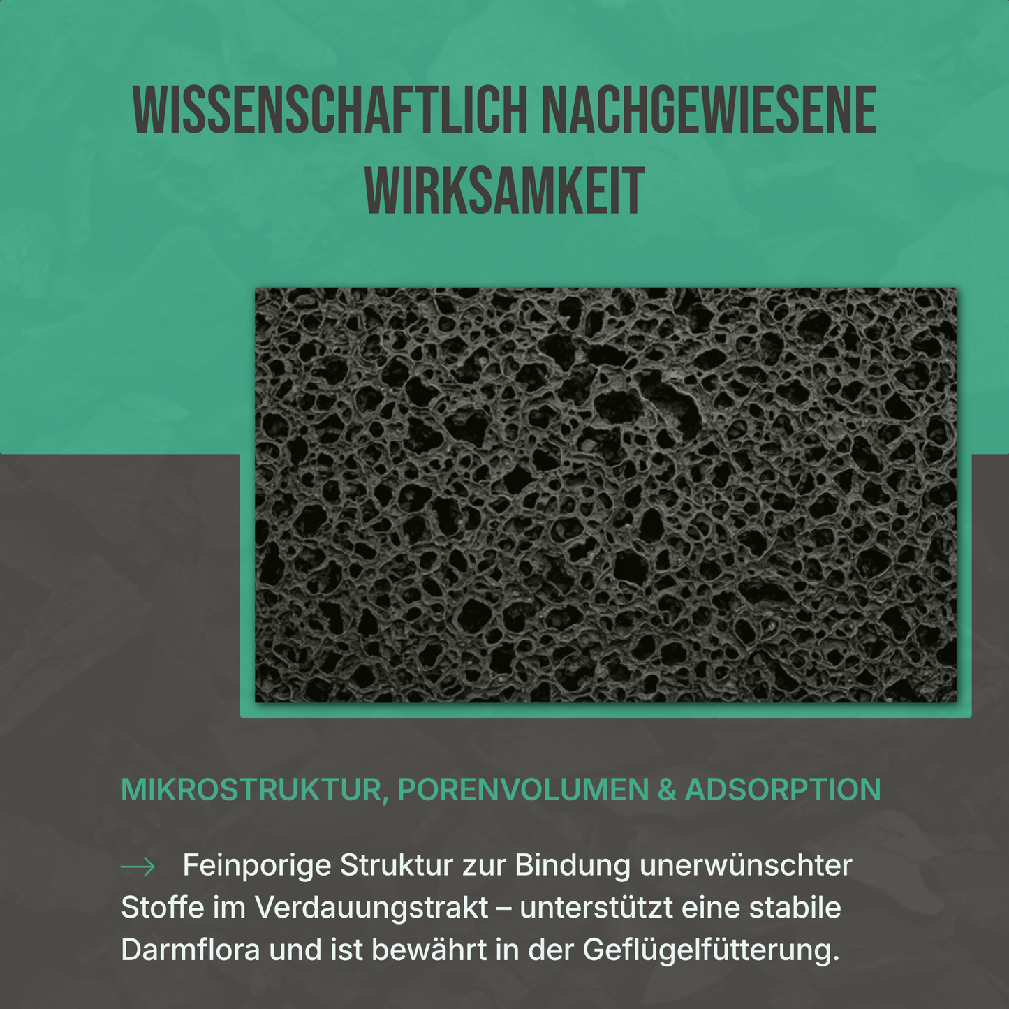 Premium Futterkohle für Geflügel