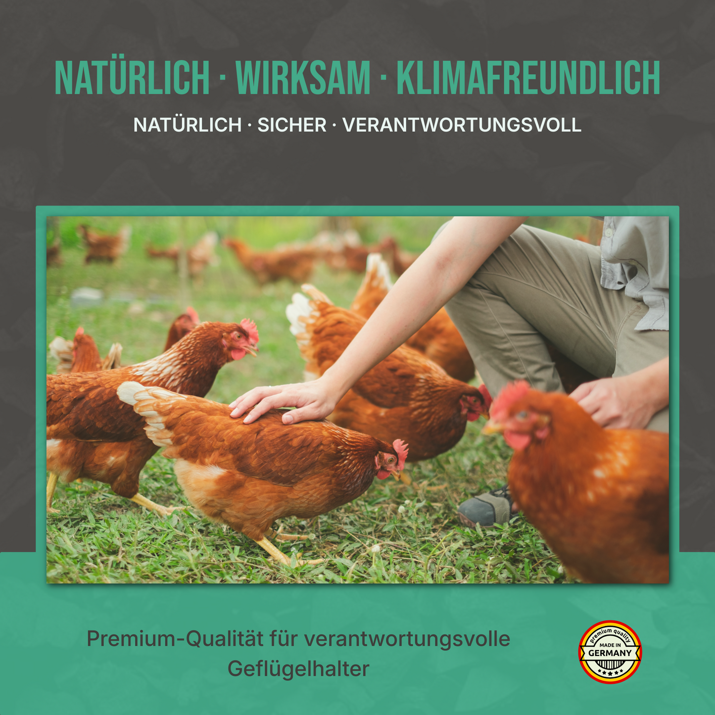 Premium Futterkohle für Geflügel