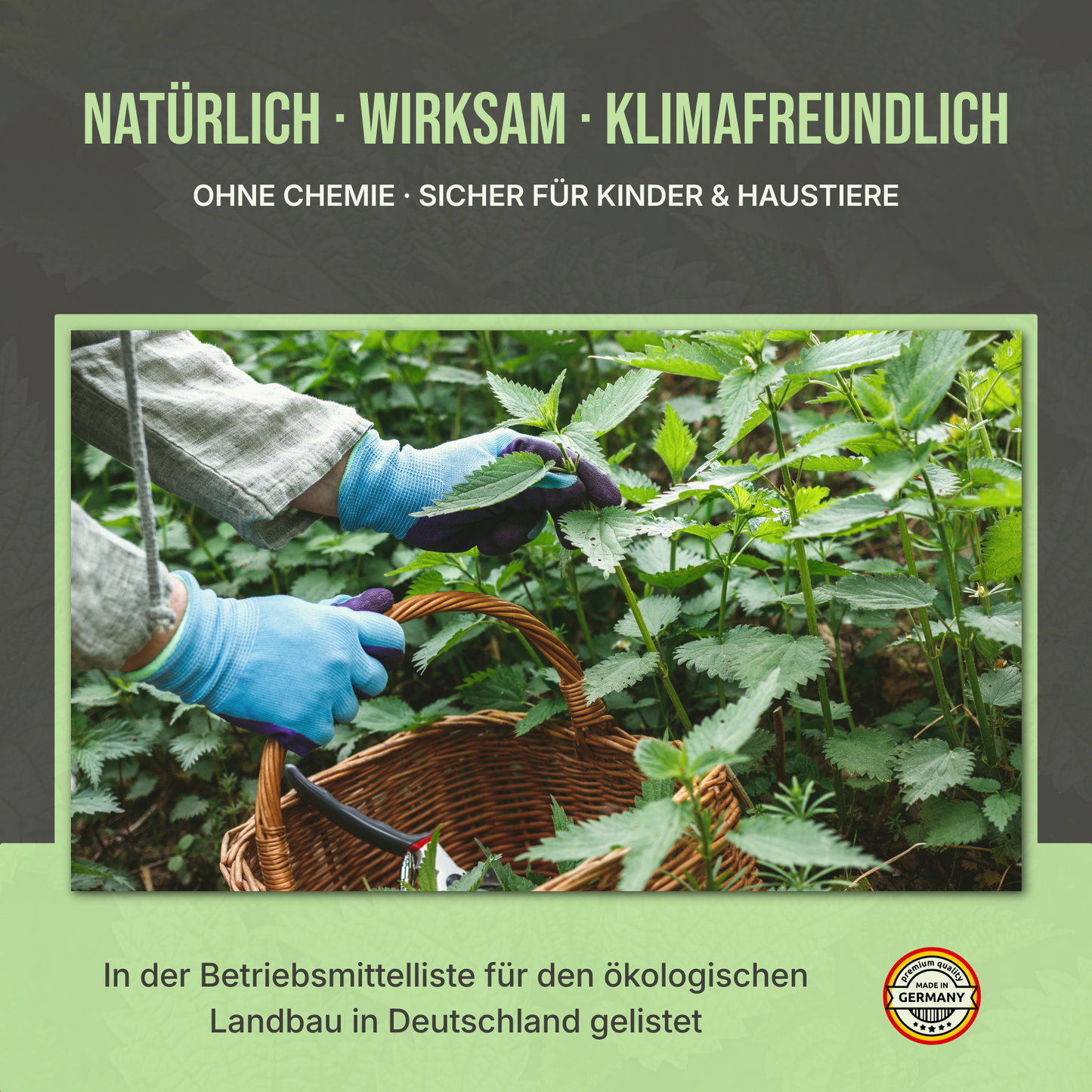Brennnesseljauche – Für gesunde Pflanzen und natürliche Schädlingsabwehr