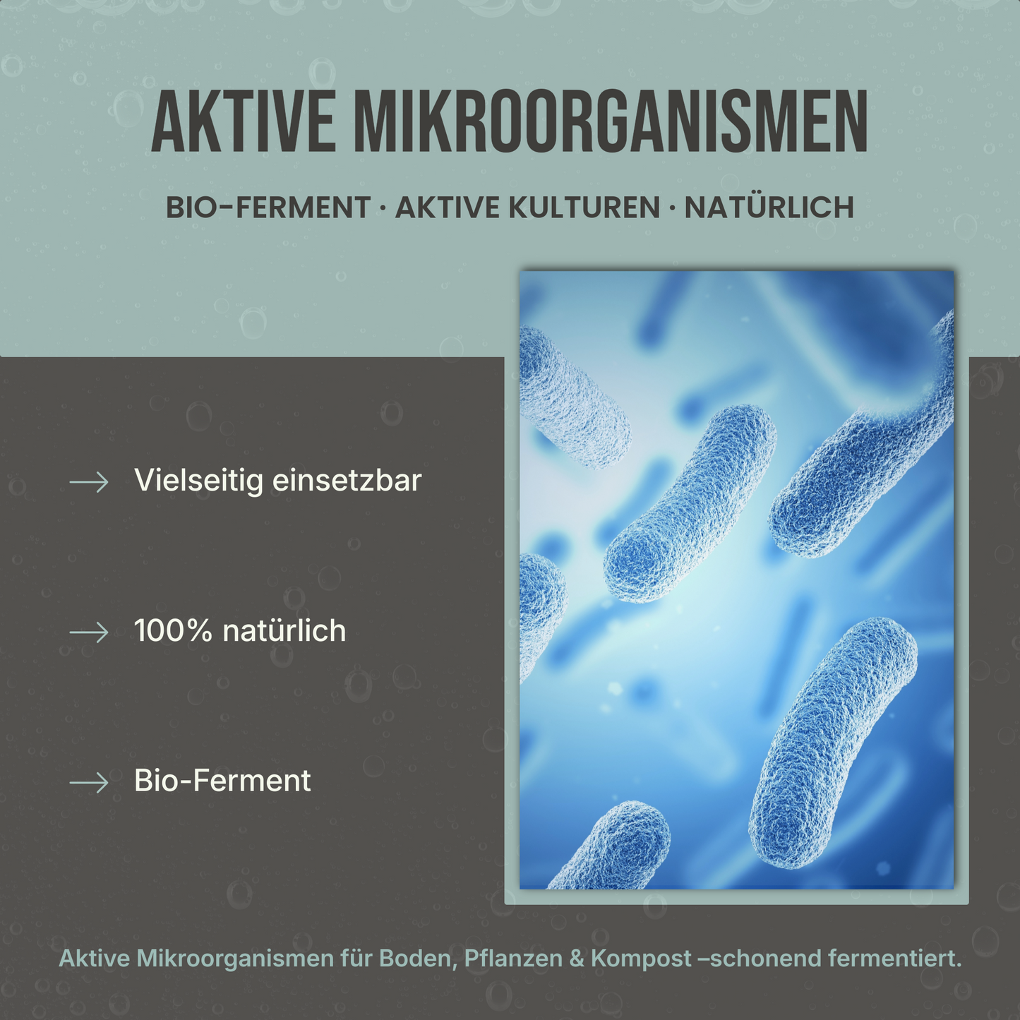 AM MikroVital – Aktive Mikroorganismen Bio-Ferment für Boden, Pflanzen & Kompost
