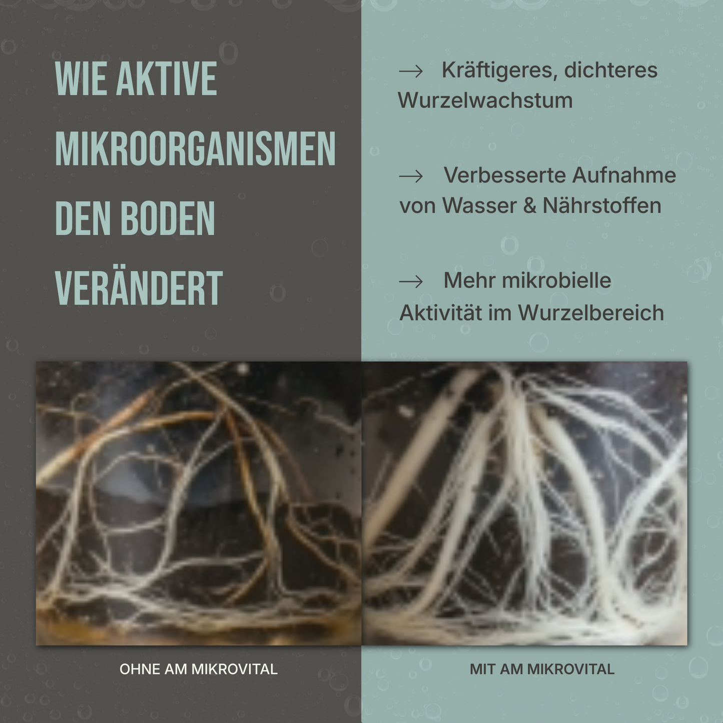AM MikroVital – Aktive Mikroorganismen Bio-Ferment für Boden, Pflanzen & Kompost