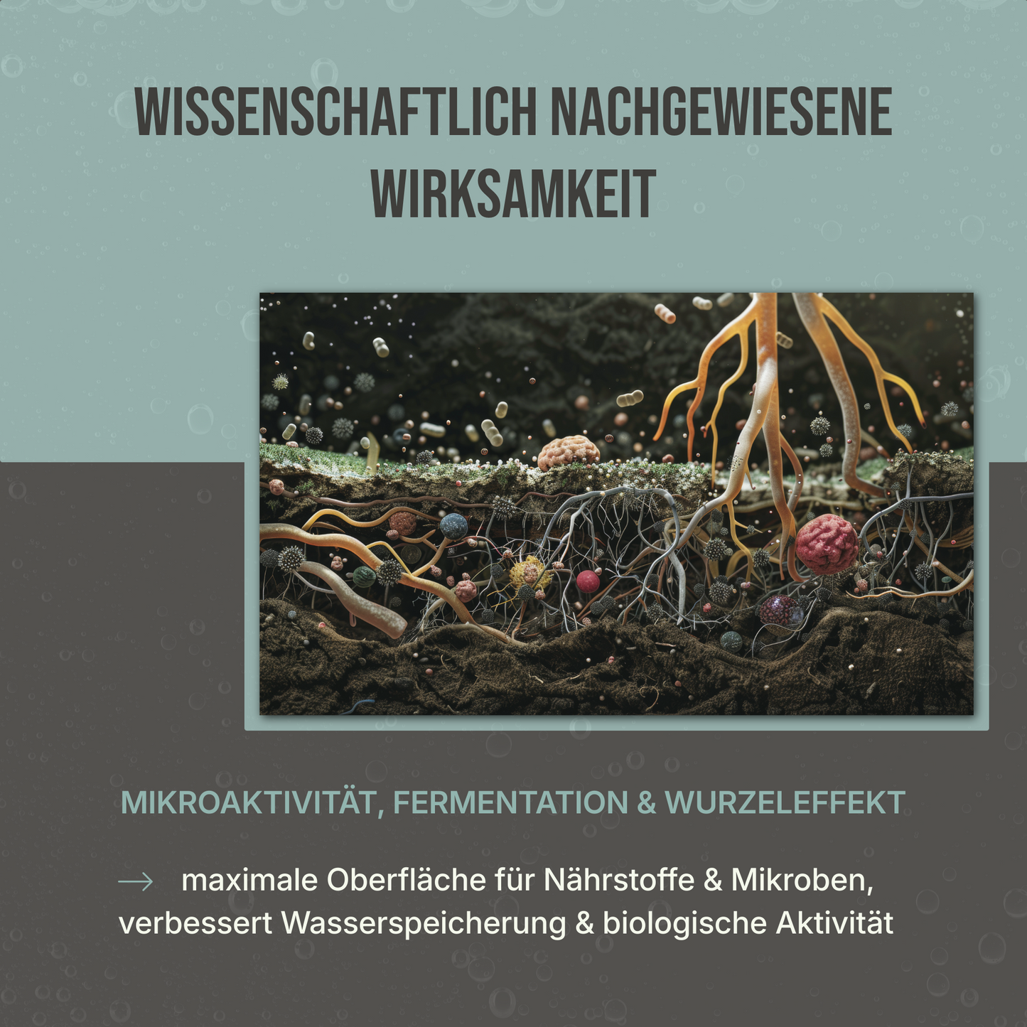 AM MikroVital – Aktive Mikroorganismen Bio-Ferment für Boden, Pflanzen & Kompost